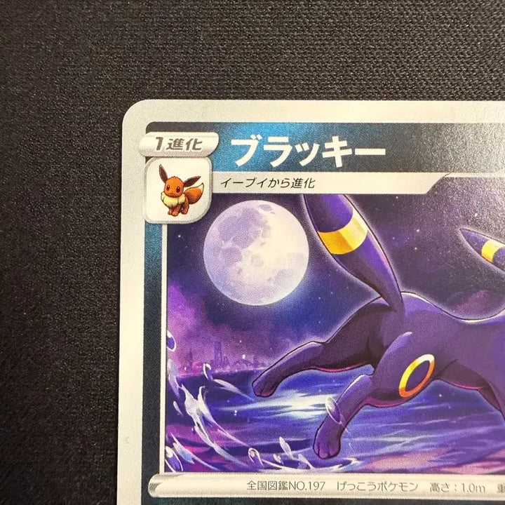 [BUNJANG] 2021 Pokemon Gym Limited Promo Umbreon Card (PSA 10 Potential) / [등급용/PSA 10 유력] 2021 짐 한정 프로모 블래키