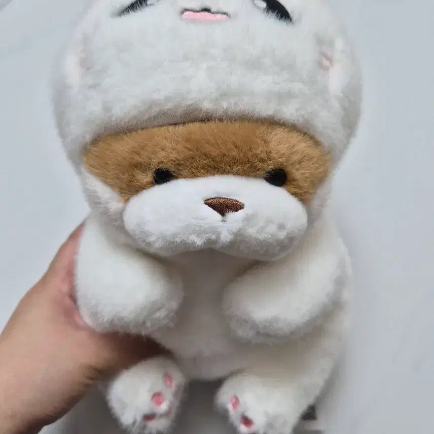 [BUNJANG] Original Konekochan&
