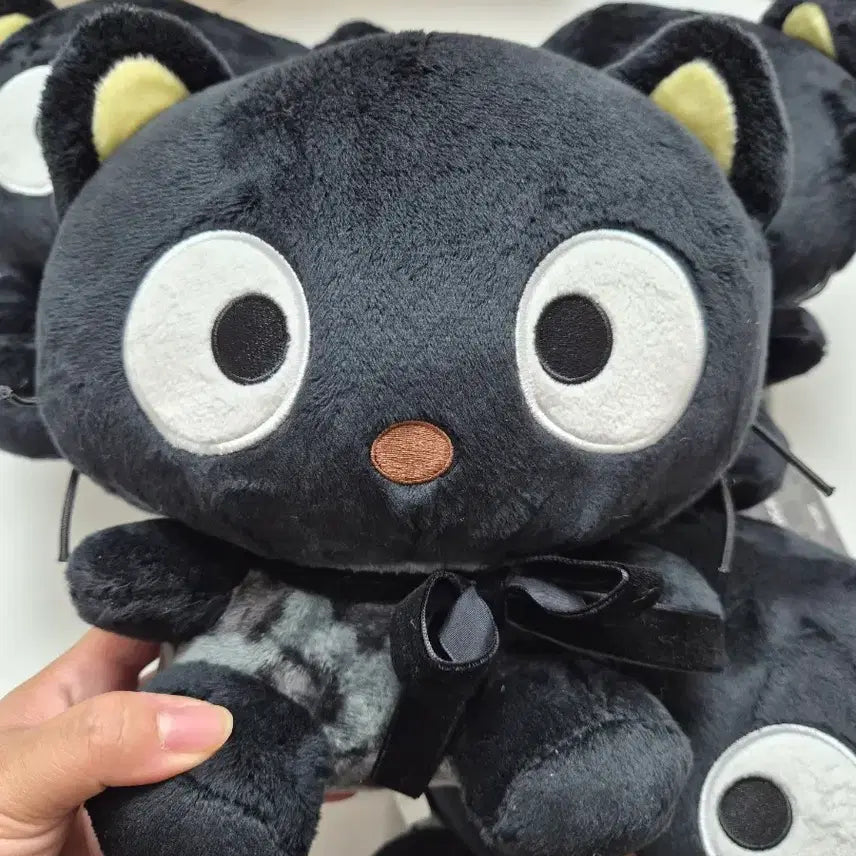 [BUNJANG] Sanrio Chococat Medium Plush Doll / 정품) 산리오 초코캣 중형인형 새제품