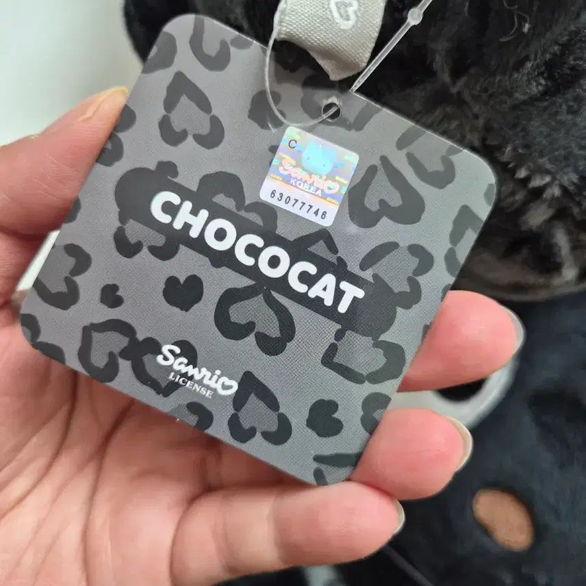 [BUNJANG] Sanrio Chococat Medium Plush Doll / 정품) 산리오 초코캣 중형인형 새제품