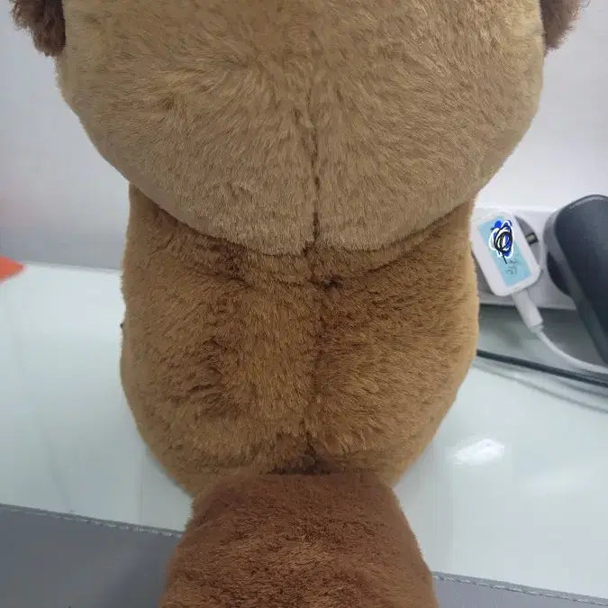 [BUNJANG] Cute Otter Plush Toy with Yellow Shell / 귀여운 수달인형