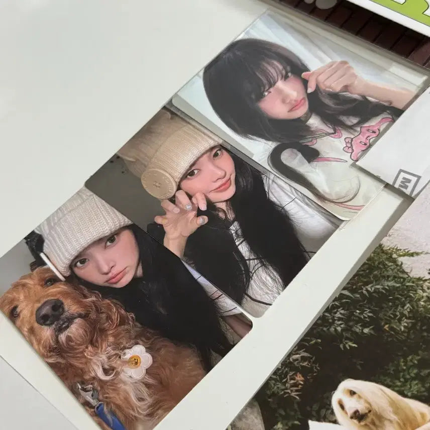 [BUNJANG] ILLIT &