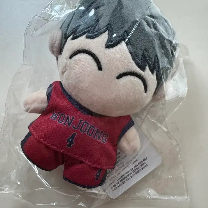 [BUNJANG] Jeon Young-joong Artist Crafted Doll Keychain / 새상품) 전영중 작뿡 인형 키링