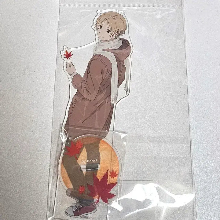 [BUNJANG] Natsume&