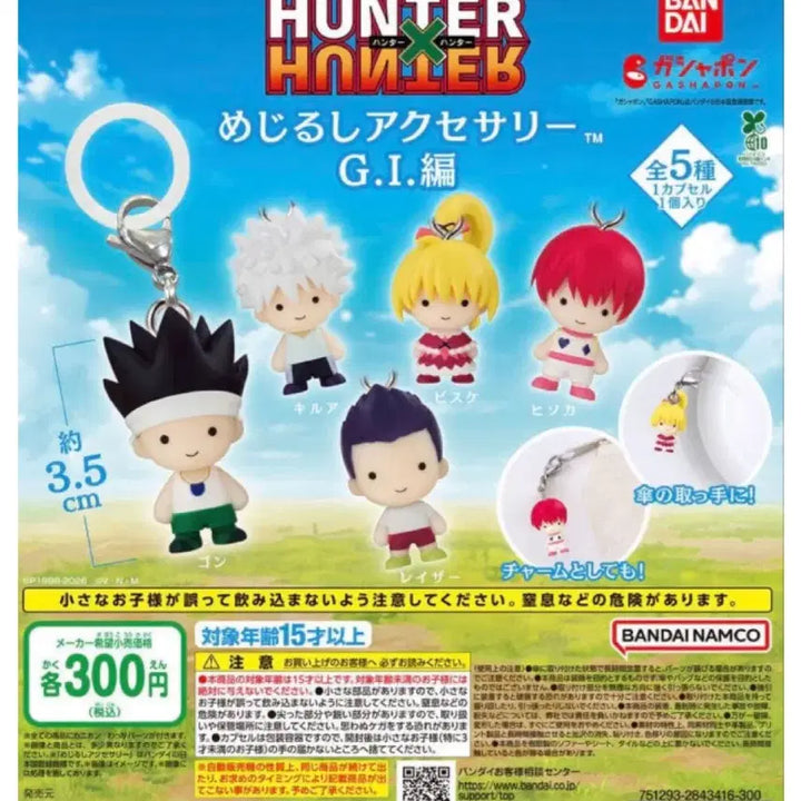 [BUNJANG] Hunter x Hunter Hunter&