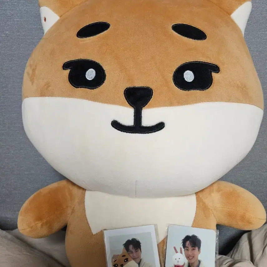 [BUNJANG] GIANT K Photocard / 자이언트 케 팝니다. 포카도 같이 드려요 사용감X