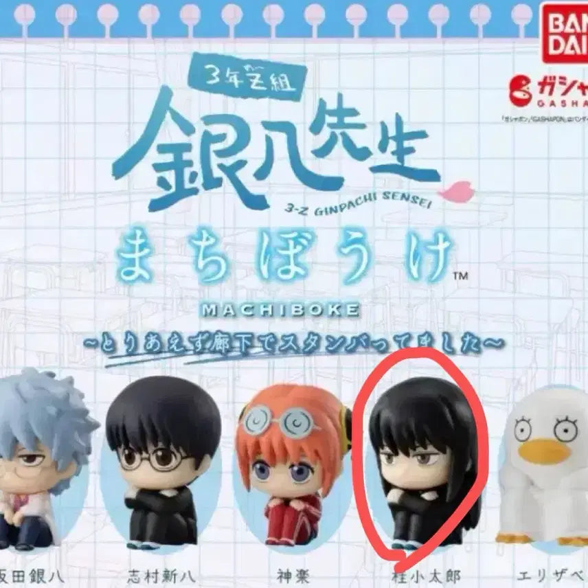 [BUNJANG] Gintama Katsura Marching Box (Sealed) / 은혼 삼젯 마치보케 언제오려나 판매 (미개봉)