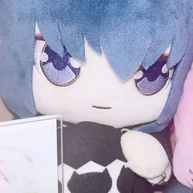 [BUNJANG] Kekkaishi Akuto Toma Plush / 캐캐체 쿠지 누이 아쿠토 토마 판매