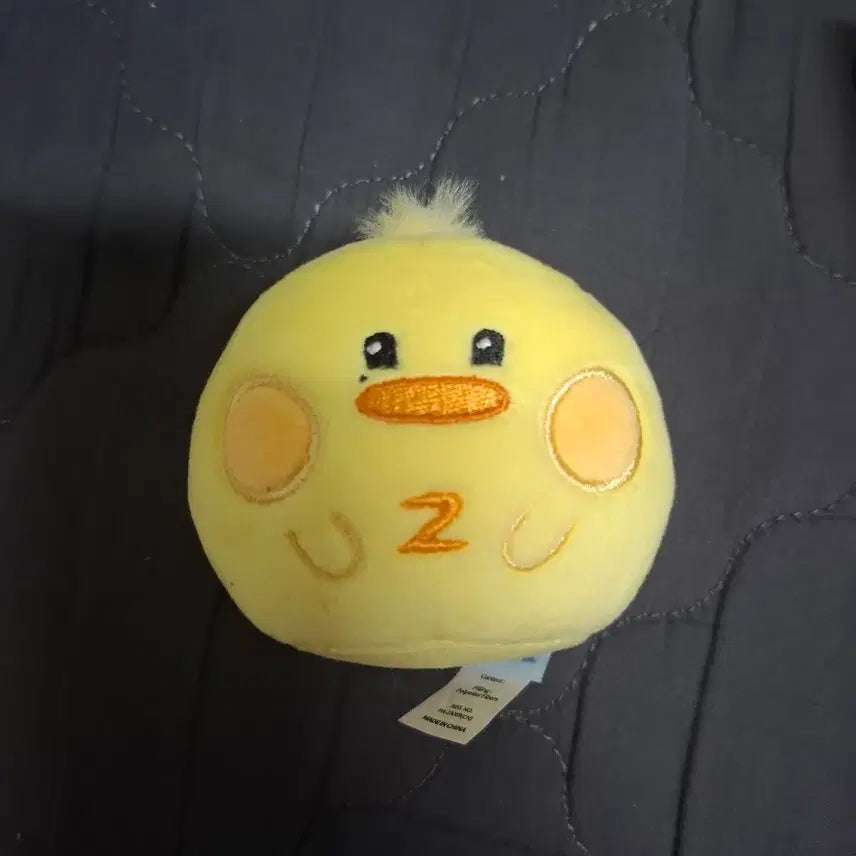 [BUNJANG] ZEROBASEONE Taenini Face Keyring / 제베원 제로베이스원 태니니 얼굴 키링