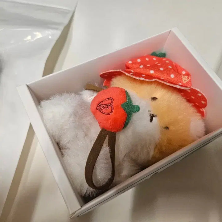 [BUNJANG] Baekhyun Strawberry Plush + 2 Outfit Bundle Set / 경매 백현 딸기 터래기+인형 옷 2벌
