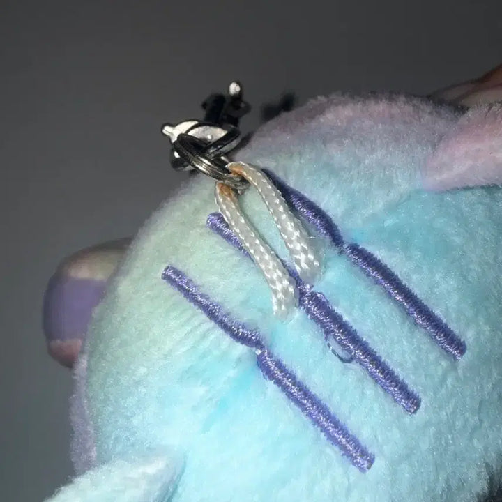 [BUNJANG] Bulbasaur Rainbow Cat Photocard Holder / 뿔바투 레인보우 다고냥 양도