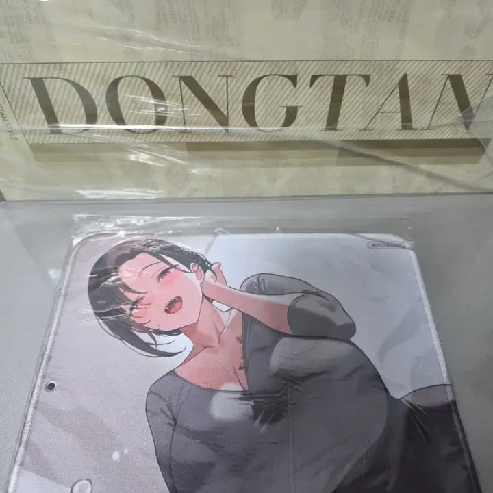 [BUNJANG] Hapitopi Dongtan Figure Sealed POB / 직거래) hapitopi 하피토피 동탄 피규어 미개봉 특전