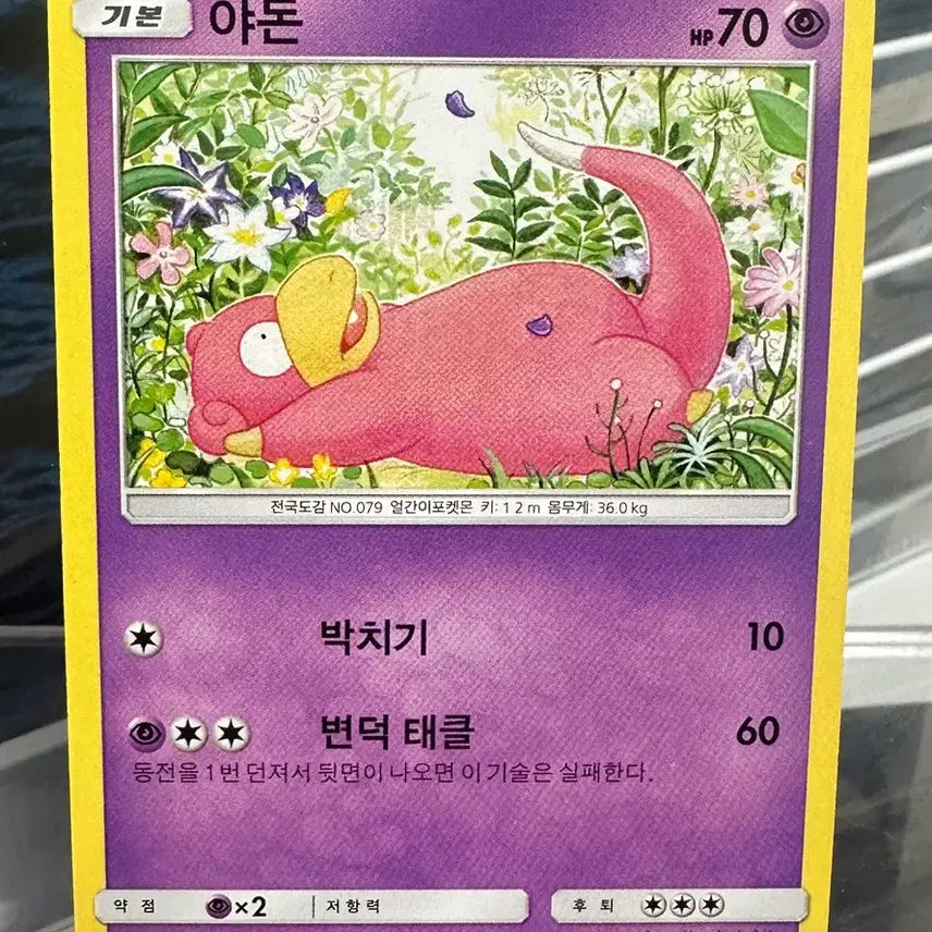 [BUNJANG] Pokemon 2017 Trading Card 022/049 / 야돈 2017 022/049 카드