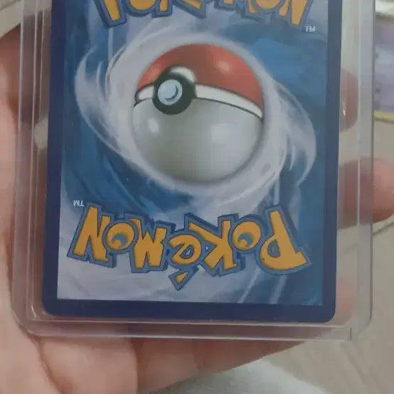 [BUNJANG] Pokemon 25th Anniversary Charizard Holo Card / 25주년 포켓몬 리자몽 카드 홀로