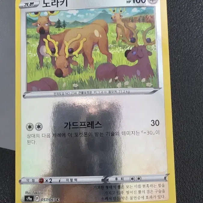 [BUNJANG] Pokemon Card Norakki Monster Ball s9a / 포켓몬 카드 노라키 몬스터볼 s9a