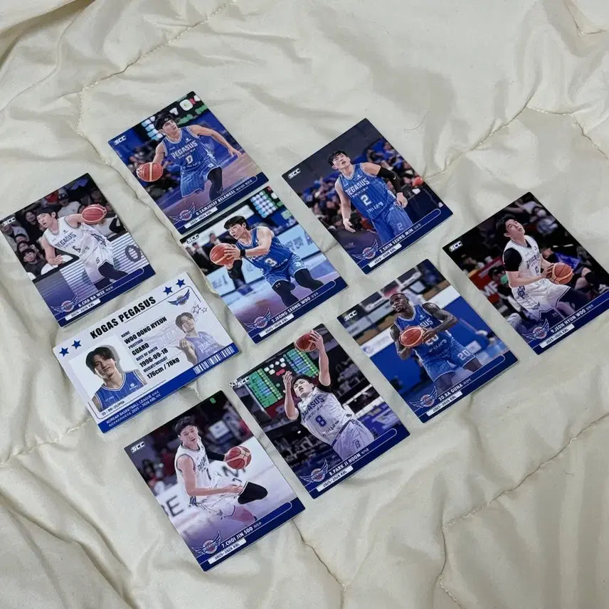 [SOLD OUT] KBL 25-26 카드 일괄 포카 포토카드 sk lg kcc 가공 현대
