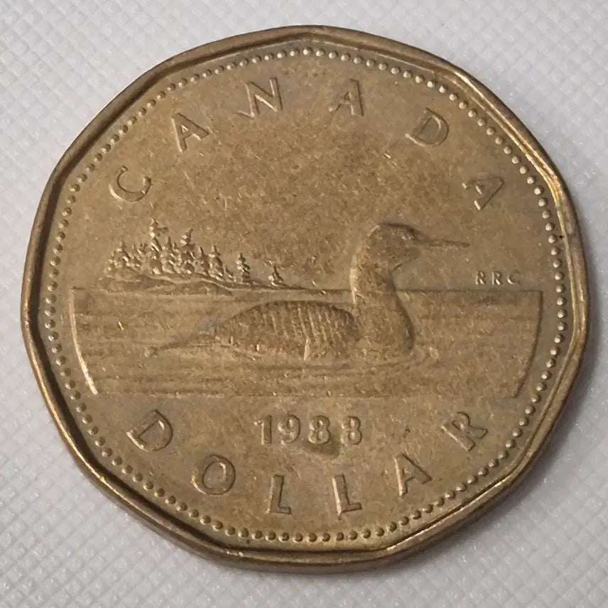 [BUNJANG] 1988 Canadian Dollar Coin / 1988년 캐나다 달러 동전 zk-3858
