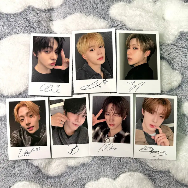 [BUNJANG] Alpaca Drive One Bring Green Photocard / 알파드라이브원 브링그린 포토카드