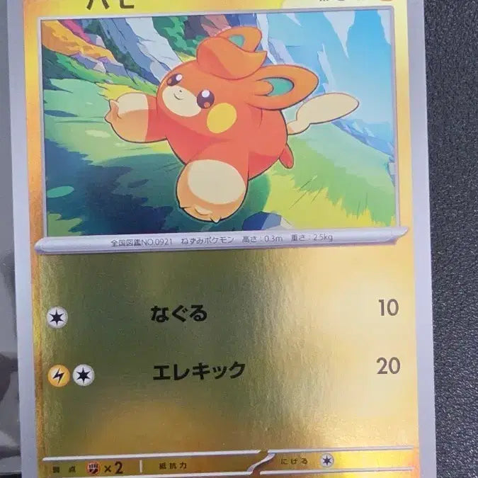 [BUNJANG] Pokemon Card Pammo Promo Japanese / 포켓몬 카드 파모 프로모 일판
