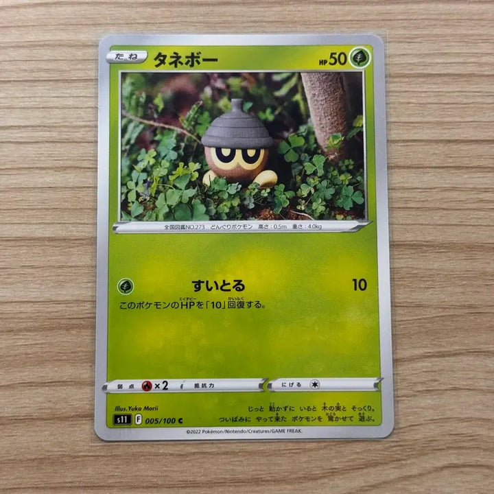 [BUNJANG] Yuka Morii Artist Illustrated Dotoring Pokemon Card (Japanese) / [포켓몬카드 일판] 도토링 유카모리(yuka morii)작가