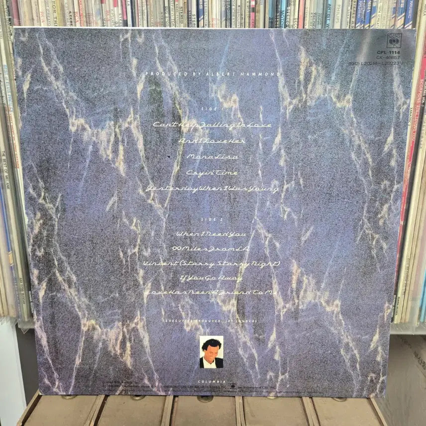 [BUNJANG] Julio Iglesias Starry Night LP Vinyl Record / 훌리오 이글레시아스 Starry Night LP판