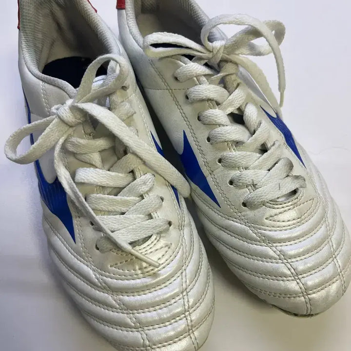 [BUNJANG] Mizuno Soccer Cleats 250 / 미즈노 축구화 250 (실착 가능 / 가성비 좋음)