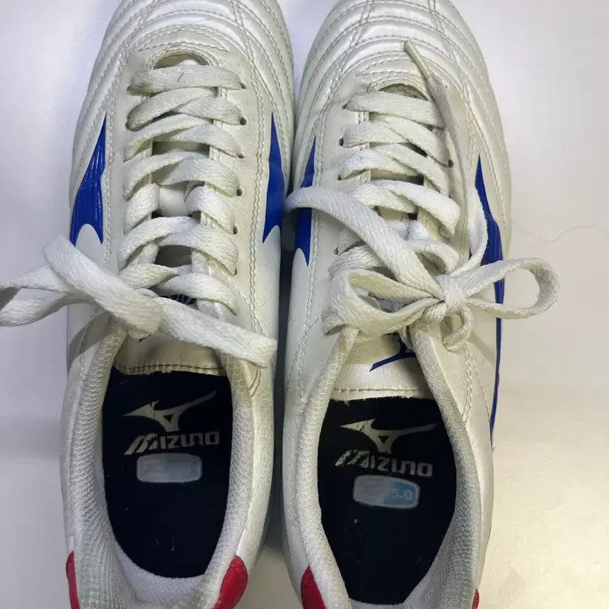 [BUNJANG] Mizuno Soccer Cleats 250 / 미즈노 축구화 250 (실착 가능 / 가성비 좋음)