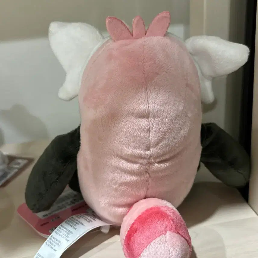 [BUNJANG] Pokemon Fit Ebbun Bear Plush / 포켓몬 fit 핏 이븐곰 인형