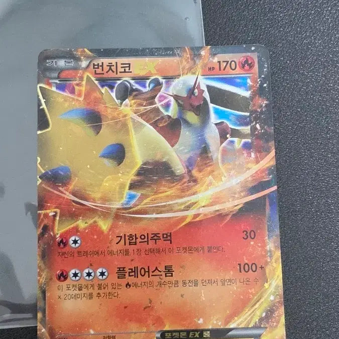 [BUNJANG] Pokemon Card Blaziken EX XY Promo / 포켓몬 카드 번치코 EX xy 프로모