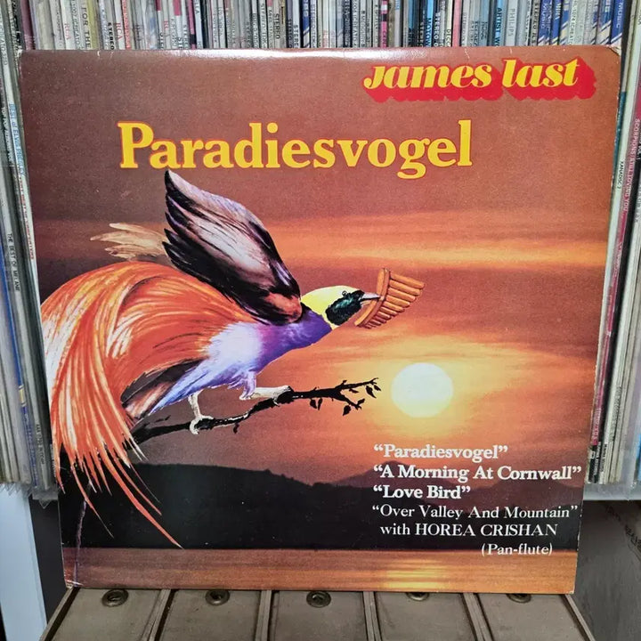 [BUNJANG] James Last Paradiesvogel LP Vinyl Record / 제임스 라스트 lp판