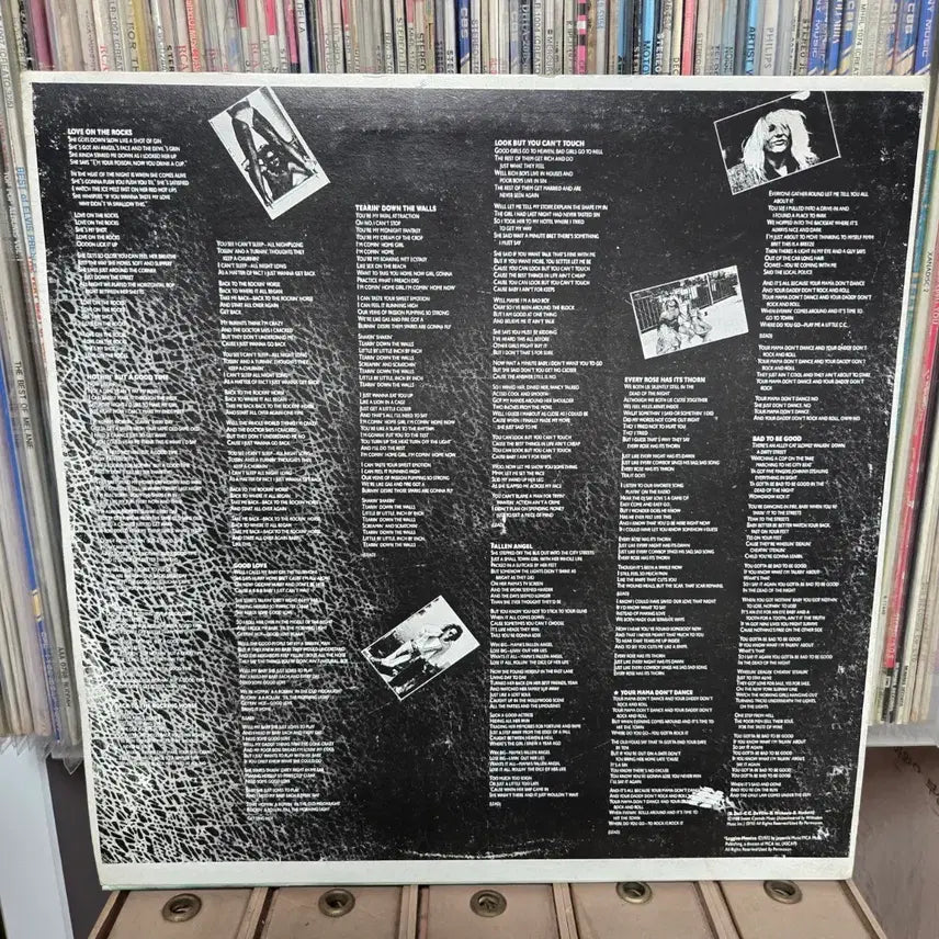 [BUNJANG] Poison Poison LP Vinyl Record / 포이즌 lp판