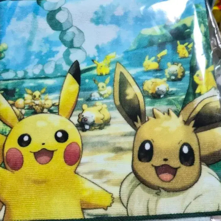 [BUNJANG] Pocket Park Kanto Limited Handkerchief / 포켓몬스터 포켓파크 칸토 한정 손수건