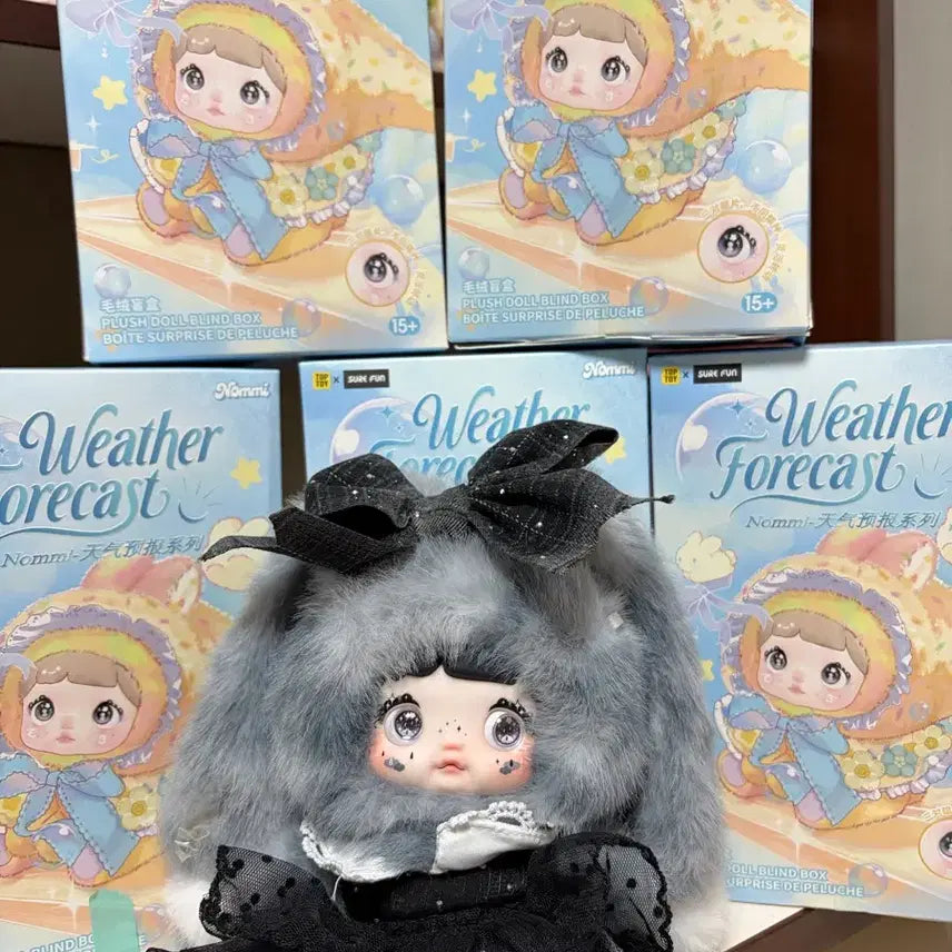 [BUNJANG] Nomi Weather Forecast Doll (Full Box, Card Included) / 노미 날씨예보 인형 풀박 (카드O)