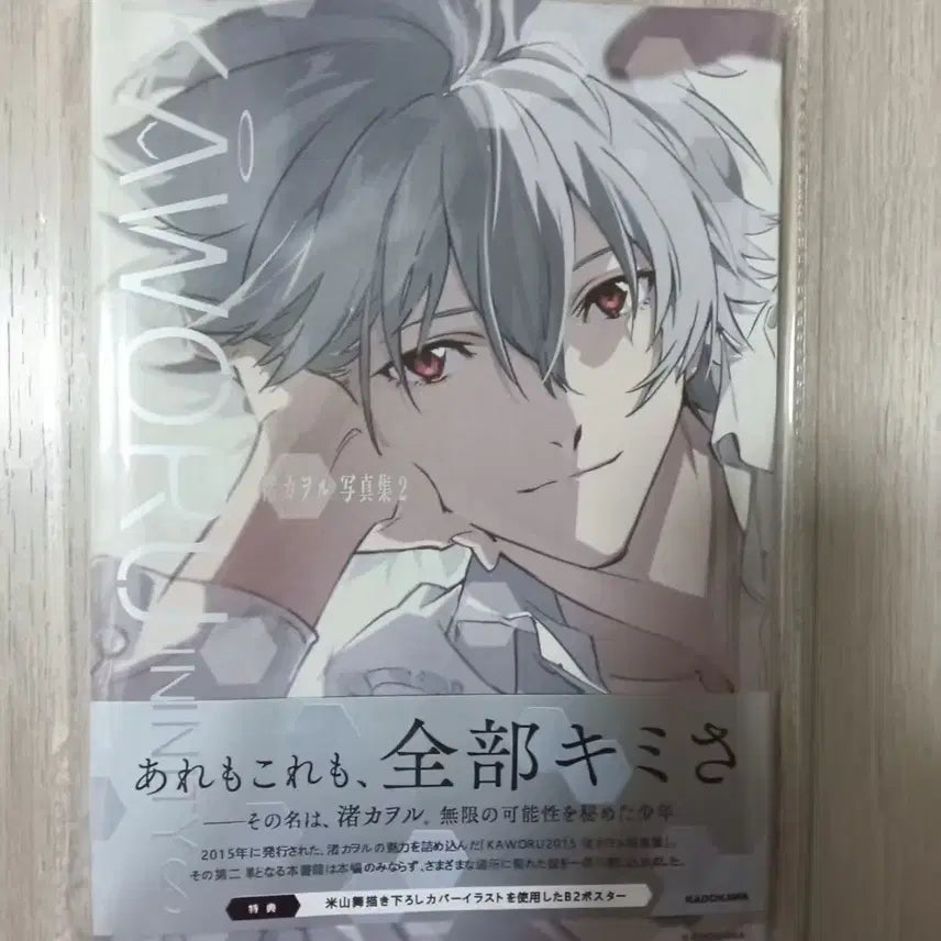 [BUNJANG] Evangelion Nagisa Kaworu Large Photo Book / 에반게리온 나기사 카오루 미개봉 대형 사진집 일러스트 화집