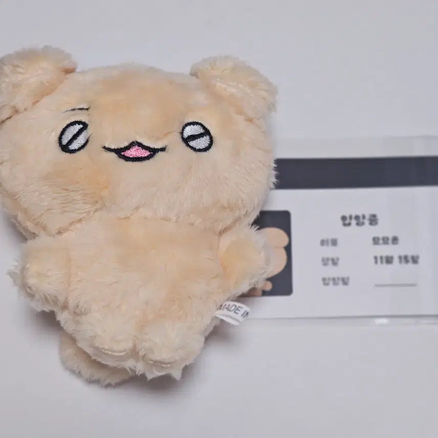 [BUNJANG] ENHYPEN Jake Myomyoyun Doll / 엔하이픈 제이크 인형 묘묘윤 묘묘이픈