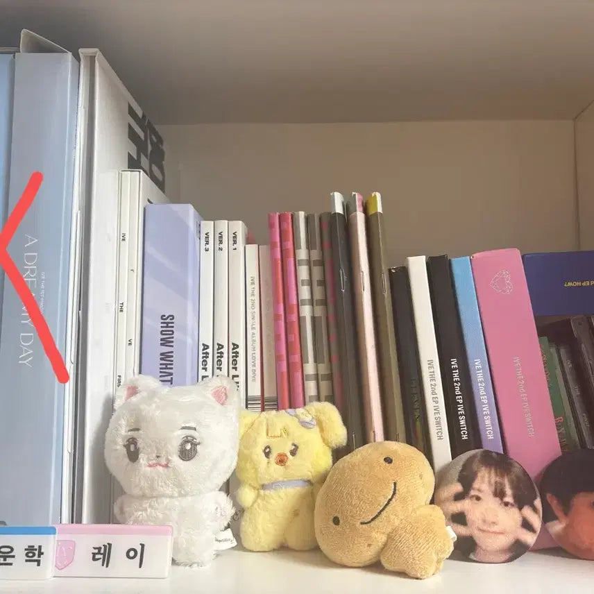 [BUNJANG] IVE / Bouncho Goods Bundle / 아이브,보넥도 굿즈 양도합니다