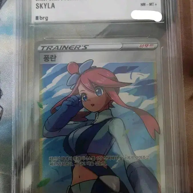[BUNJANG] Pokemon Card Furry Lan BRG8.5 / 포켓몬카드 풍란 brg8.5
