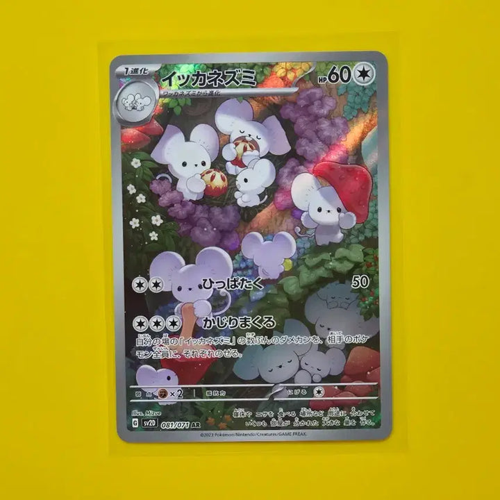 [BUNJANG] Pokemon Card Clay Burst Familiage Ikanezumi AR Japanese Edition / 포켓몬카드  클레이 버스트 파밀리쥐 이카네즈미ar 일본판