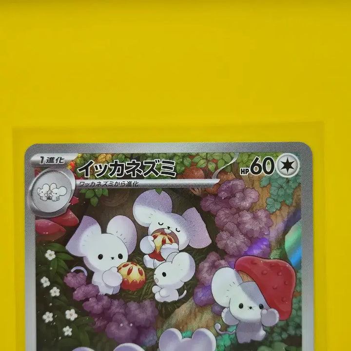 [BUNJANG] Pokemon Card Clay Burst Familiage Ikanezumi AR Japanese Edition / 포켓몬카드  클레이 버스트 파밀리쥐 이카네즈미ar 일본판