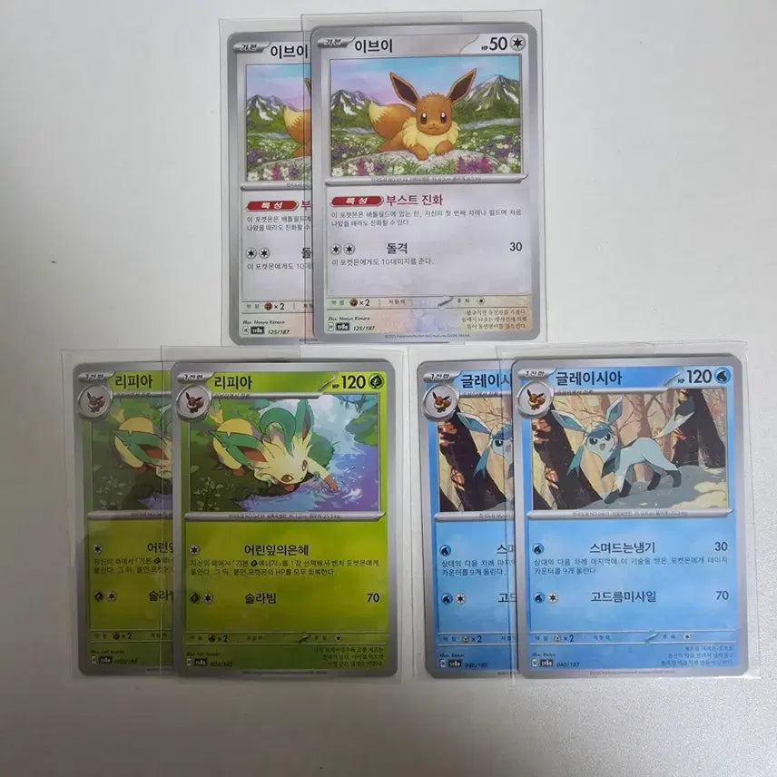[BUNJANG] Pokemon Card Eevee Leafeon Glaceon Set / 포켓몬 카드 이브이 리피아 글레이시아 세트