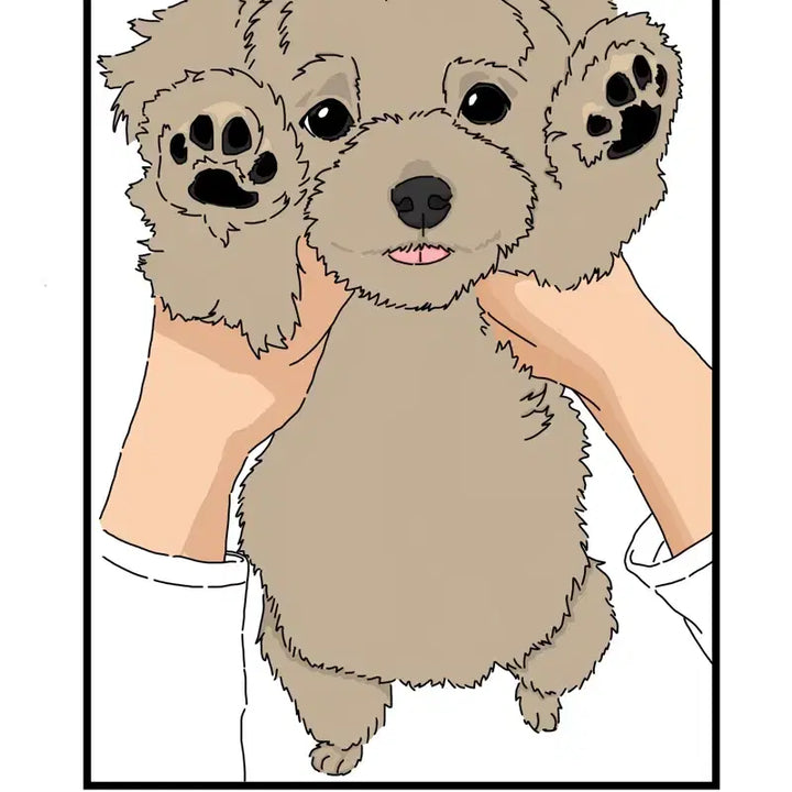 [BUNJANG] Custom Pet Portrait Illustration / 반려동물 그림그려드려욥