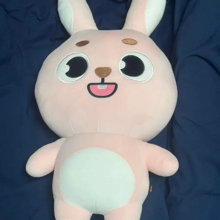[BUNJANG] DAY6 Wonpil Giant Denimz Doll / 오늘만) 자이언트 데니멀즈 필 데이식스 원필