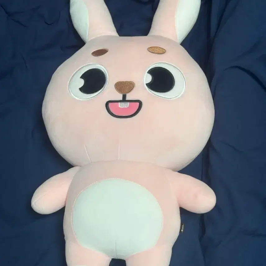 [BUNJANG] DAY6 Wonpil Giant Denimz Doll / 오늘만) 자이언트 데니멀즈 필 데이식스 원필