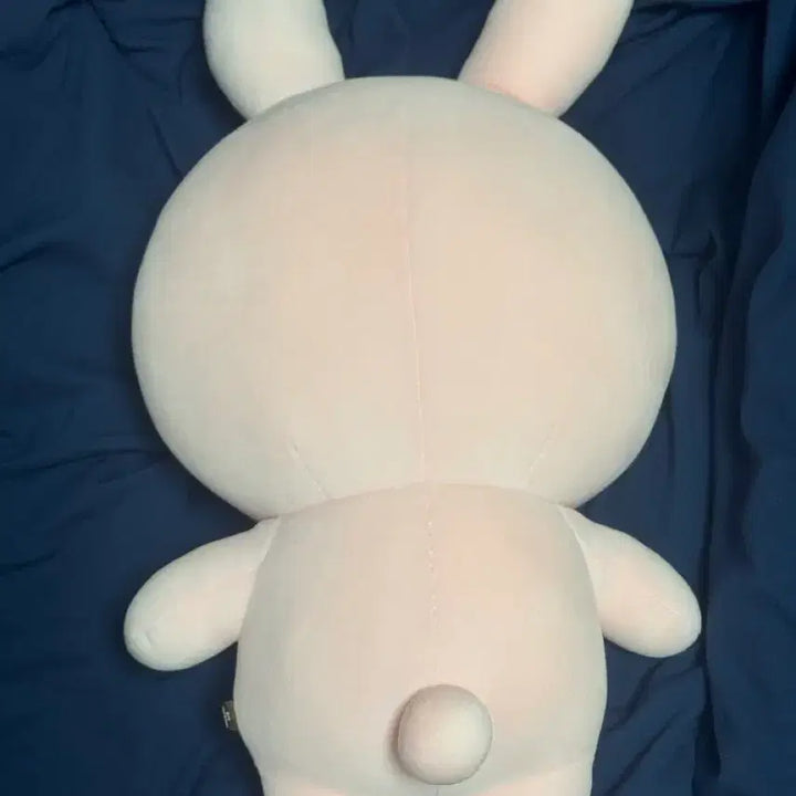 [BUNJANG] DAY6 Wonpil Giant Denimz Doll / 오늘만) 자이언트 데니멀즈 필 데이식스 원필