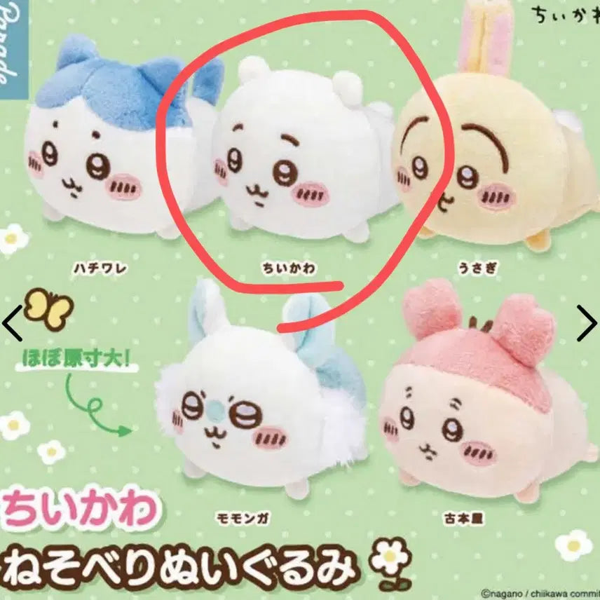 [BUNJANG] Chiikawa Neso Berry Sealed Plush / 치이카와 가챠 네소베리 미개봉