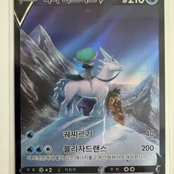 [BUNJANG] Pokemon Card Spectrier CSR / 포켓몬카드 백마 버드렉스 CSR 판매합니다