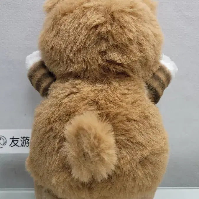 [BUNJANG] Cute Cat Plush Toy / 고양이 인형