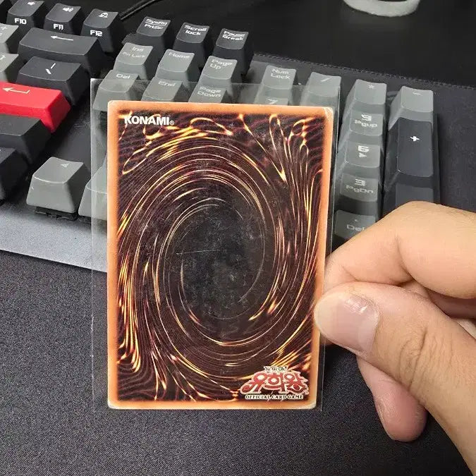 [BUNJANG] Yu-Gi-Oh! Red-Eyes Black Dragon 1st Edition Card / 유희왕 붉은 눈의 흑룡 1st Edition 카드