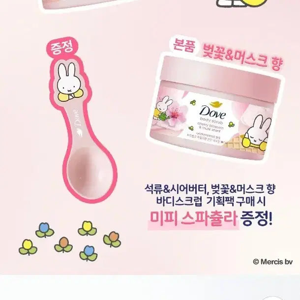 [BUNJANG] Dove Cherry Blossom Musk Scent Body Scrub Limited Edition with Miffy Spatula / [구함글] 미피 한정기획 벚꽃 머스크향 도브 바디 스크럽