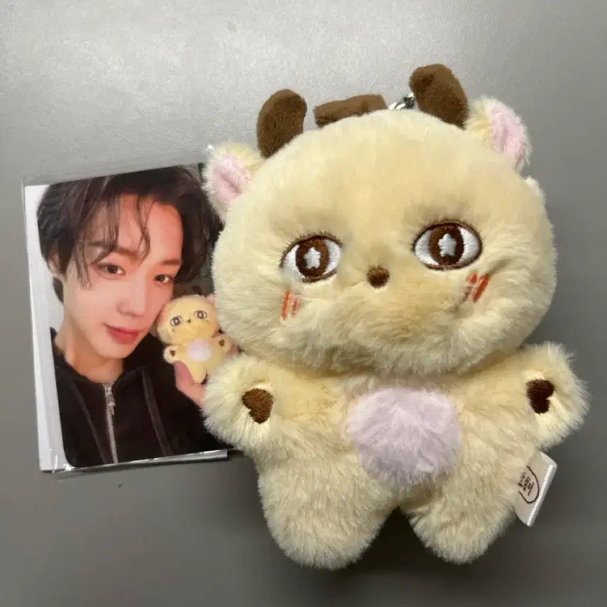 [BUNJANG] Park Jihoon Plush Doll / 소심이 인형판매해요!